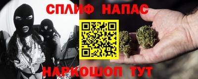 мдпв Кингисепп