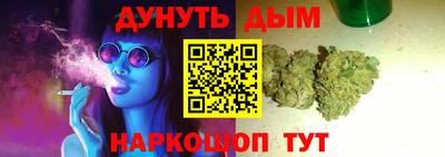 мдпв Кингисепп