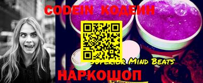 мдпв Кингисепп
