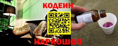 мдпв Кингисепп